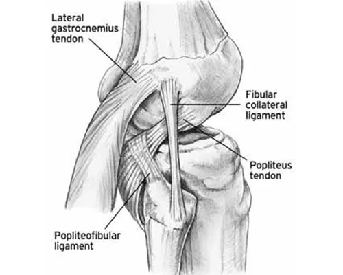 Other Ligament Injury – illustration 3